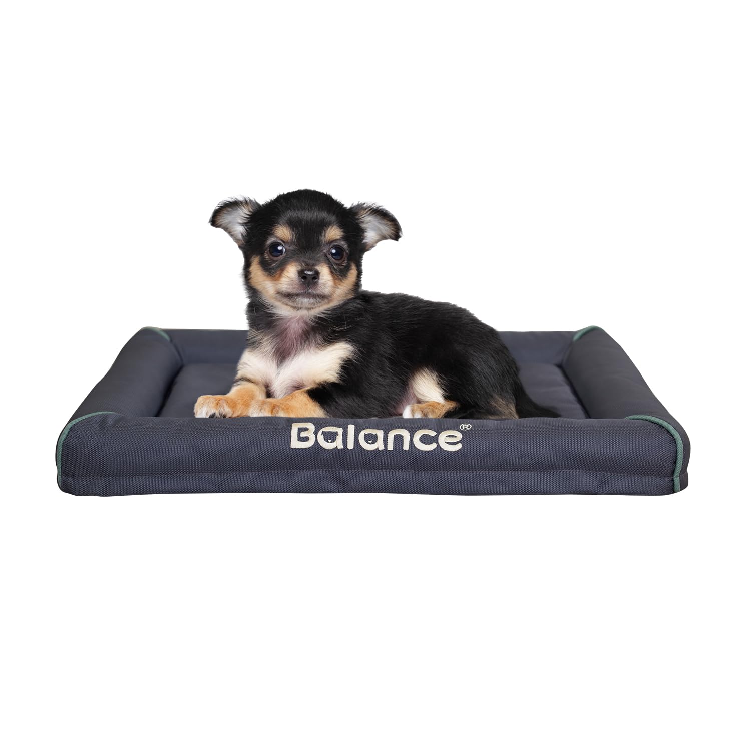 BALANCE Oxford lit-petit-chien – repose compact et confortable.