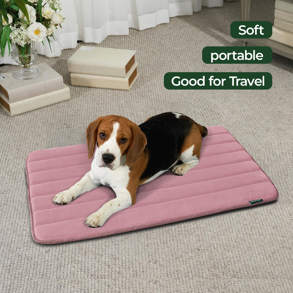 BALANCE Tapis cage chien base-antidérapante: stabilité pendant les jeux.