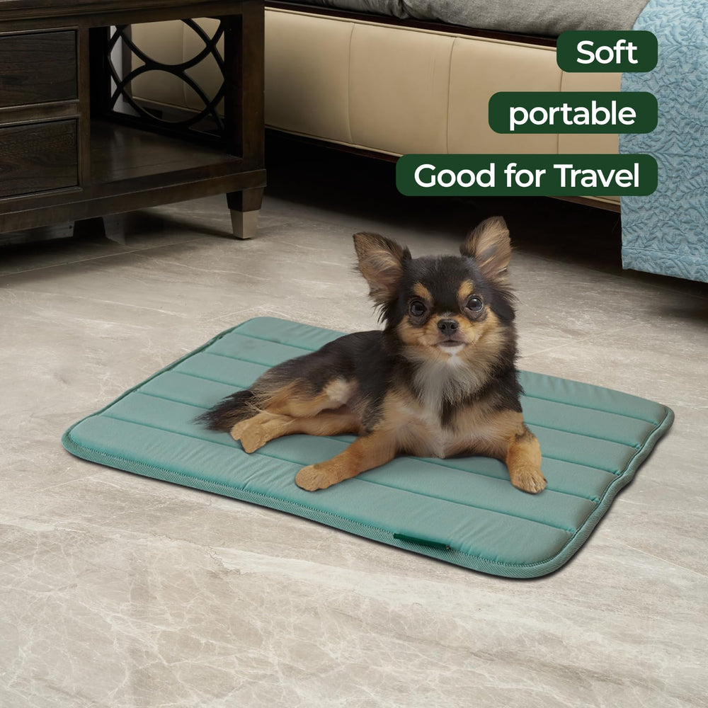 BALANCE tapis caisse chien imperméable : protège la mousse des liquides