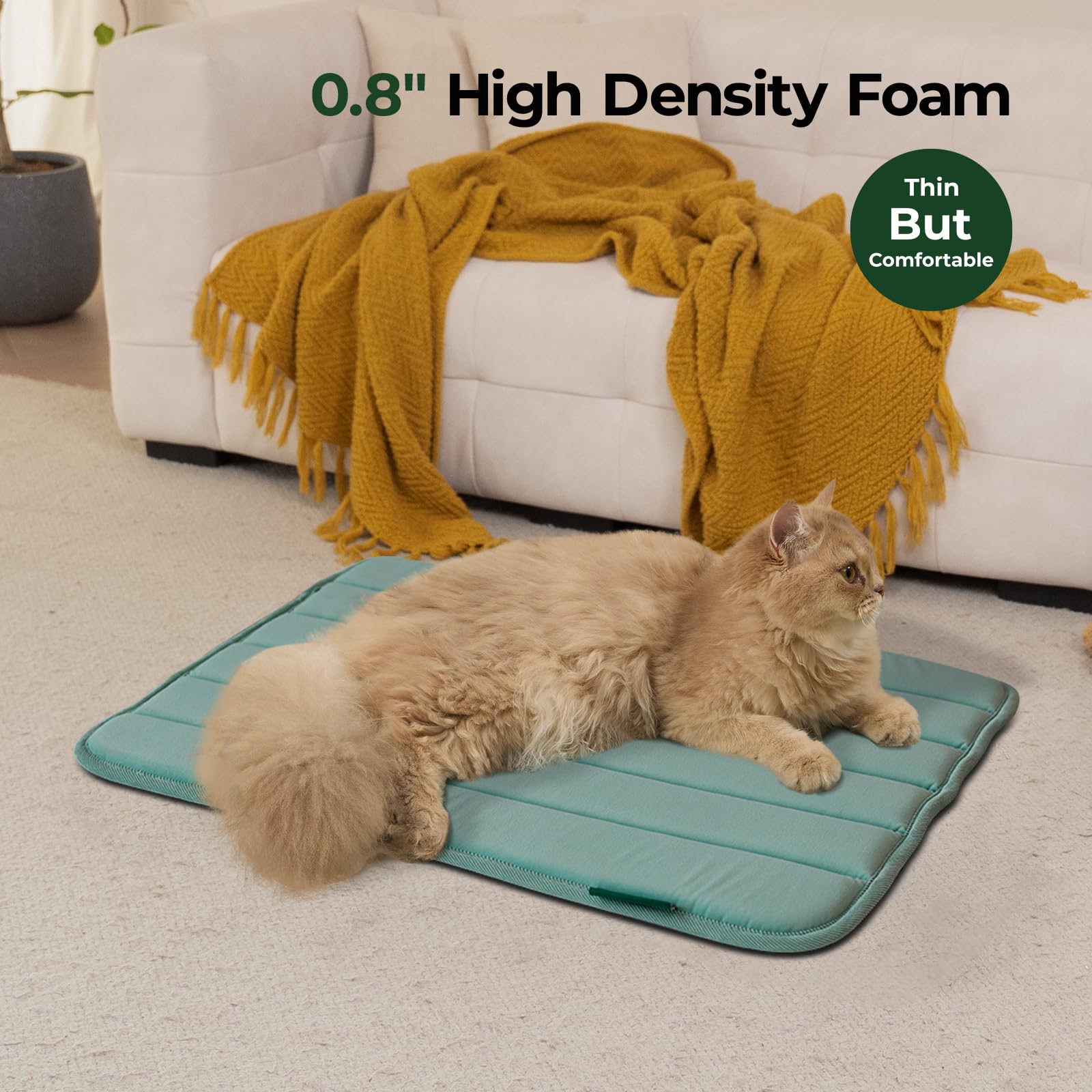 BALANCE tapis caisse chien lavable en machine : entretien facile et rapide