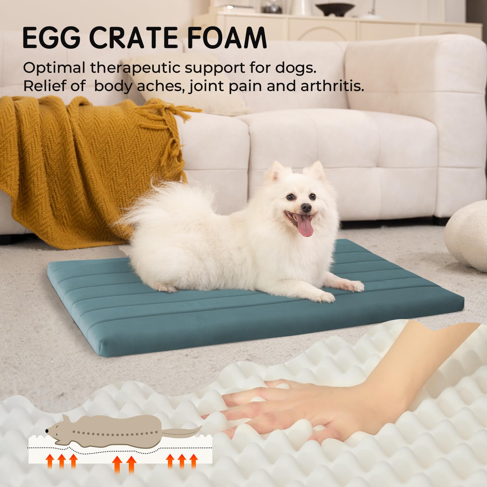 BALANCE-tapis-chien-caisson-antiglisse reste en place