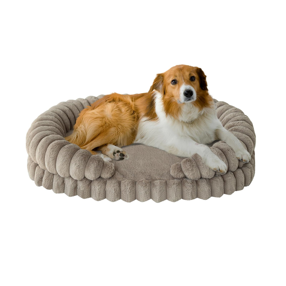BALANCE Tapis chien calment ovale 36 pouces, soutien cervical
