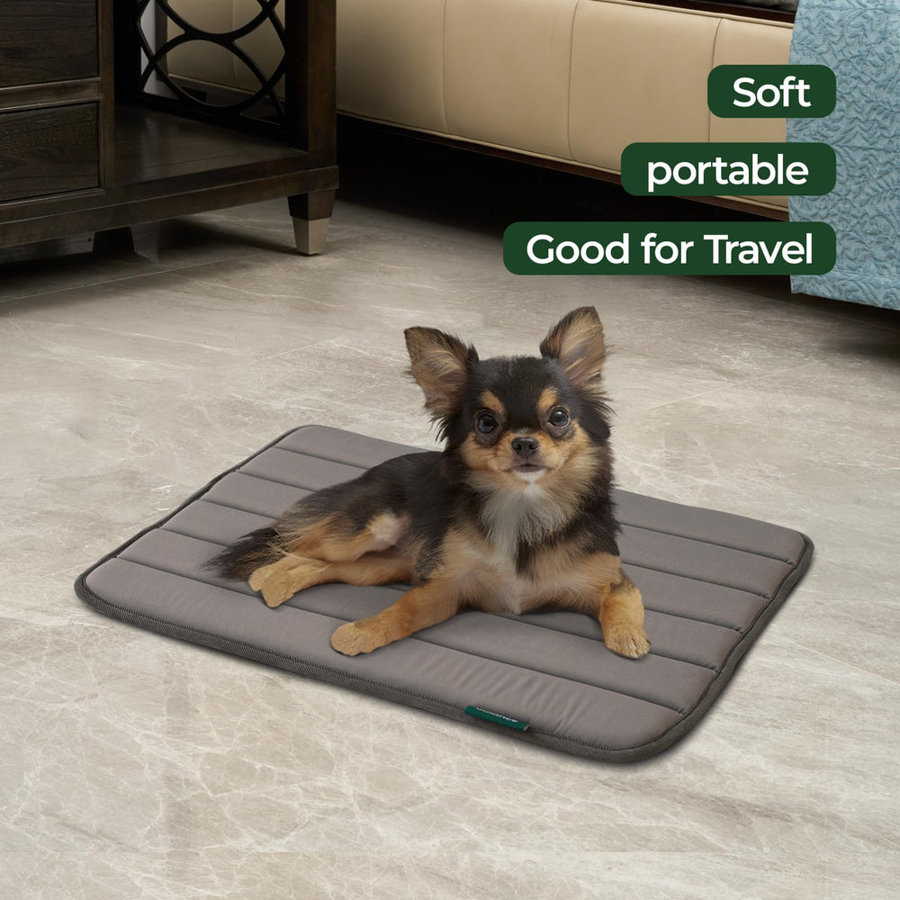 BALANCE: tissu certifié OEKO-TEX, matière sûre pour votre chien.