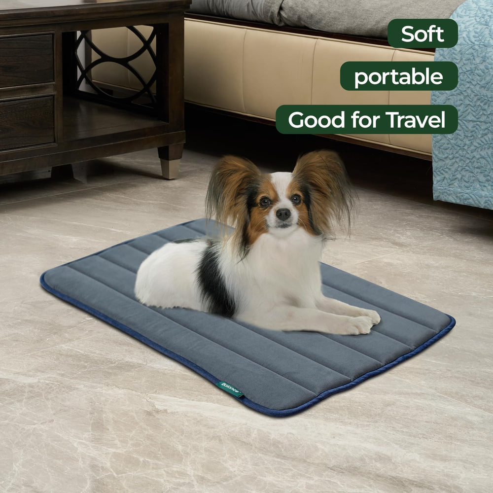 BALANCE tissu certifié OEKO-TEX : sécurité et tranquillité pour votre animal.