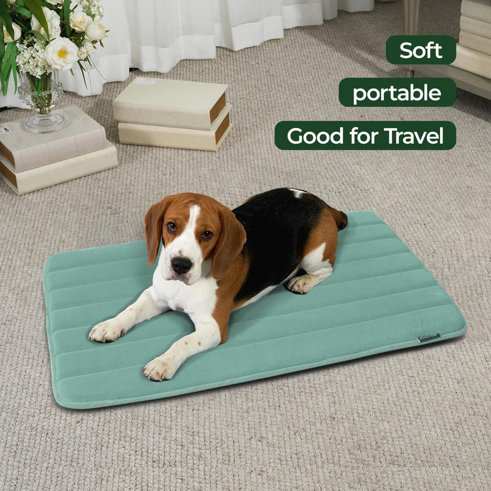 BALANCE tissu imperméable sur tapis de cage, idéal pour les accidents