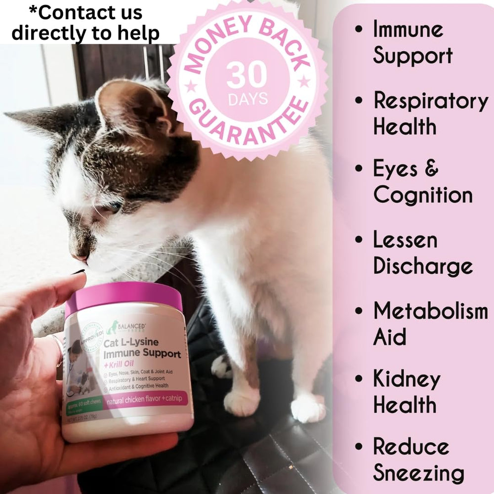 Balanced Breed L-Lysine, formule Non-GMO et sans colorants artificiels.