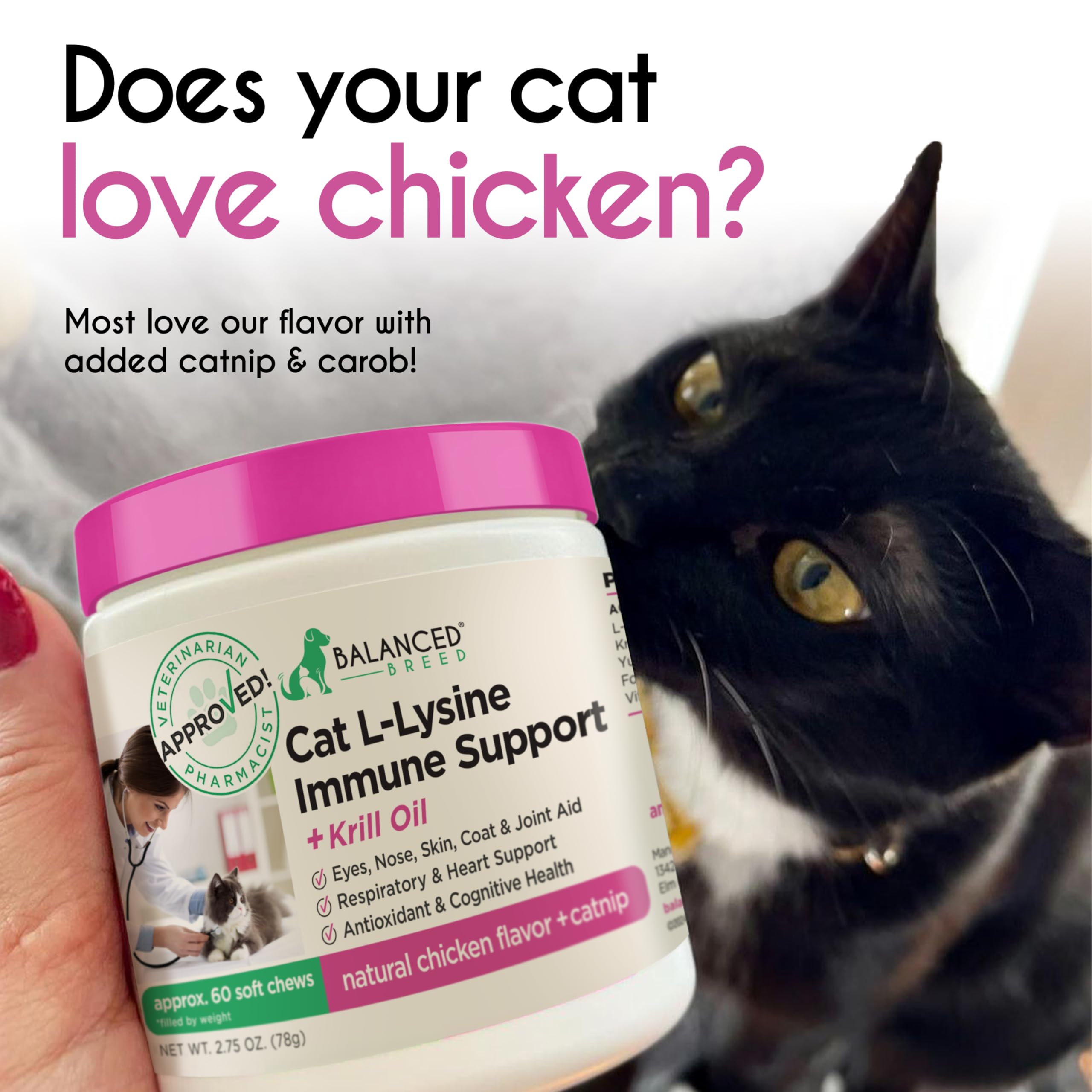 Balanced Breed L-Lysine, soutien immunitaire quotidien pour chats d interieur.