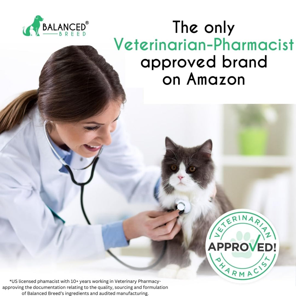 Balanced Breed L-Lysine pour chats, soutien respiratoire potentiel et relief nasal.