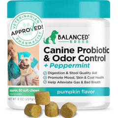 Balanced Breed Probiotics: bouteille de probiotiques pour chien, soutien digestion potentiel.