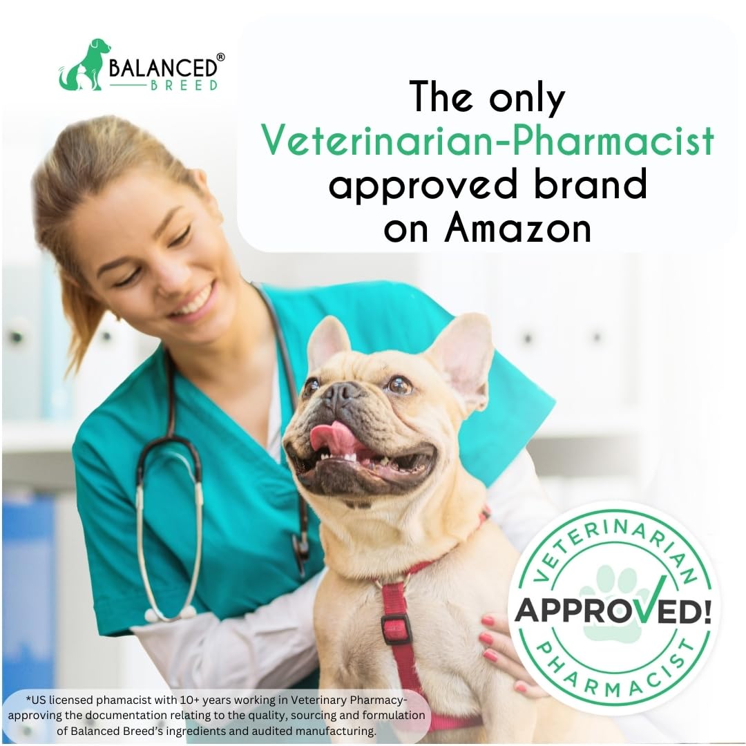 Balanced Breed Probiotics: comprimés digestifs pour chien, aide éventuelle au transit.