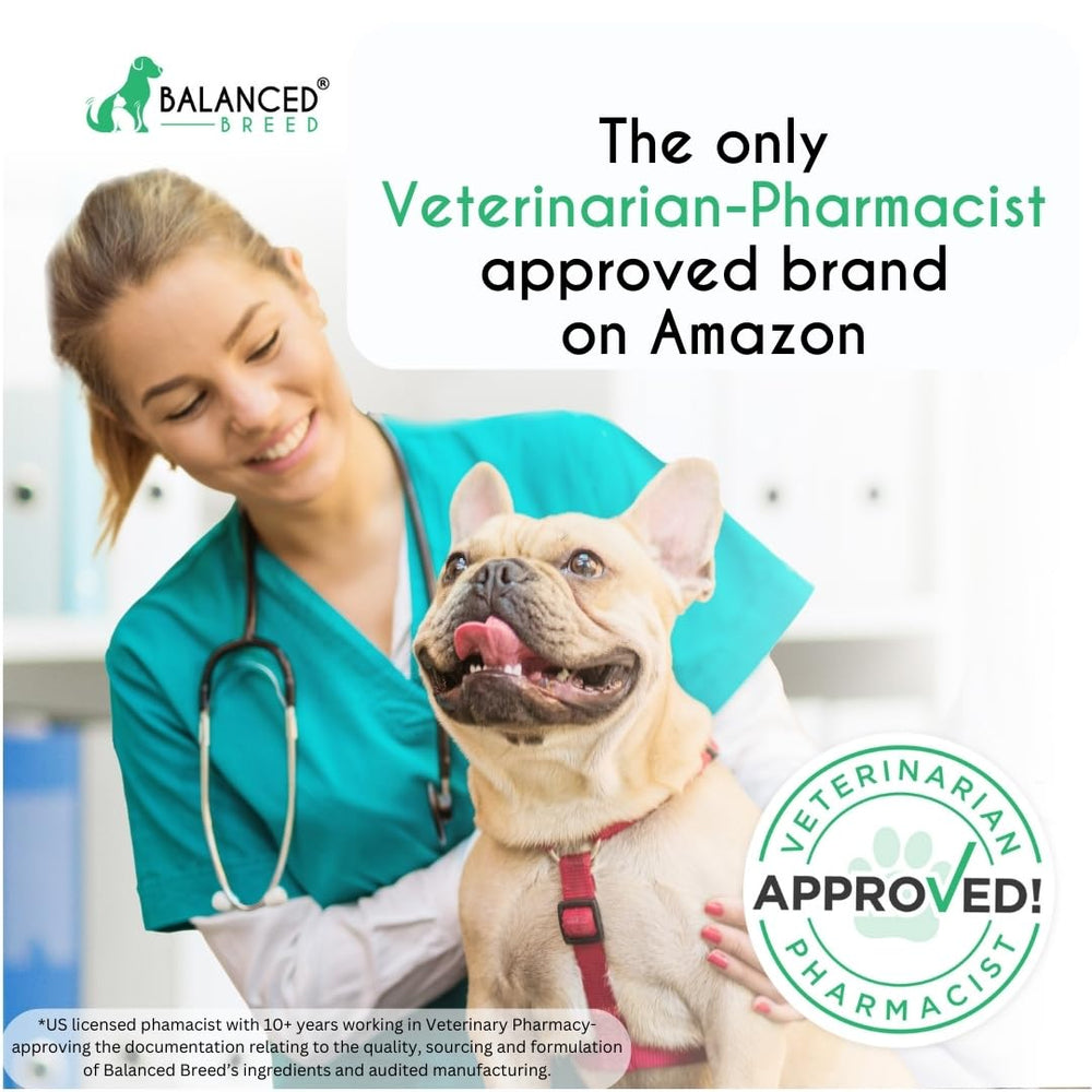 Balanced Breed Probiotics: comprimés digestifs pour chien, aide éventuelle au transit.