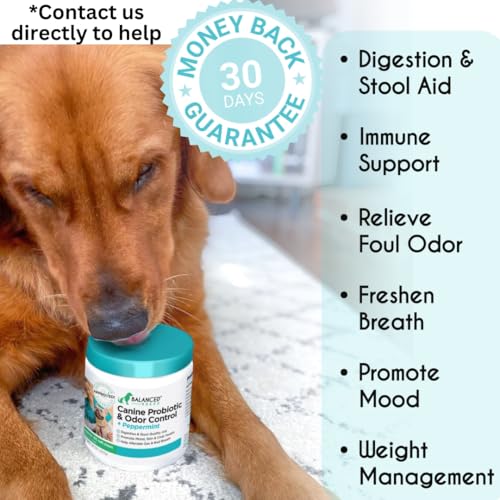 Balanced Breed Probiotics: flacon facile à administrer au quotidien.