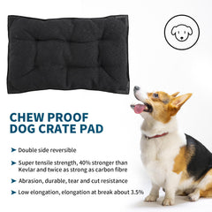 BALAPET design portable et pliable, facile à transporter lors des déplacements.