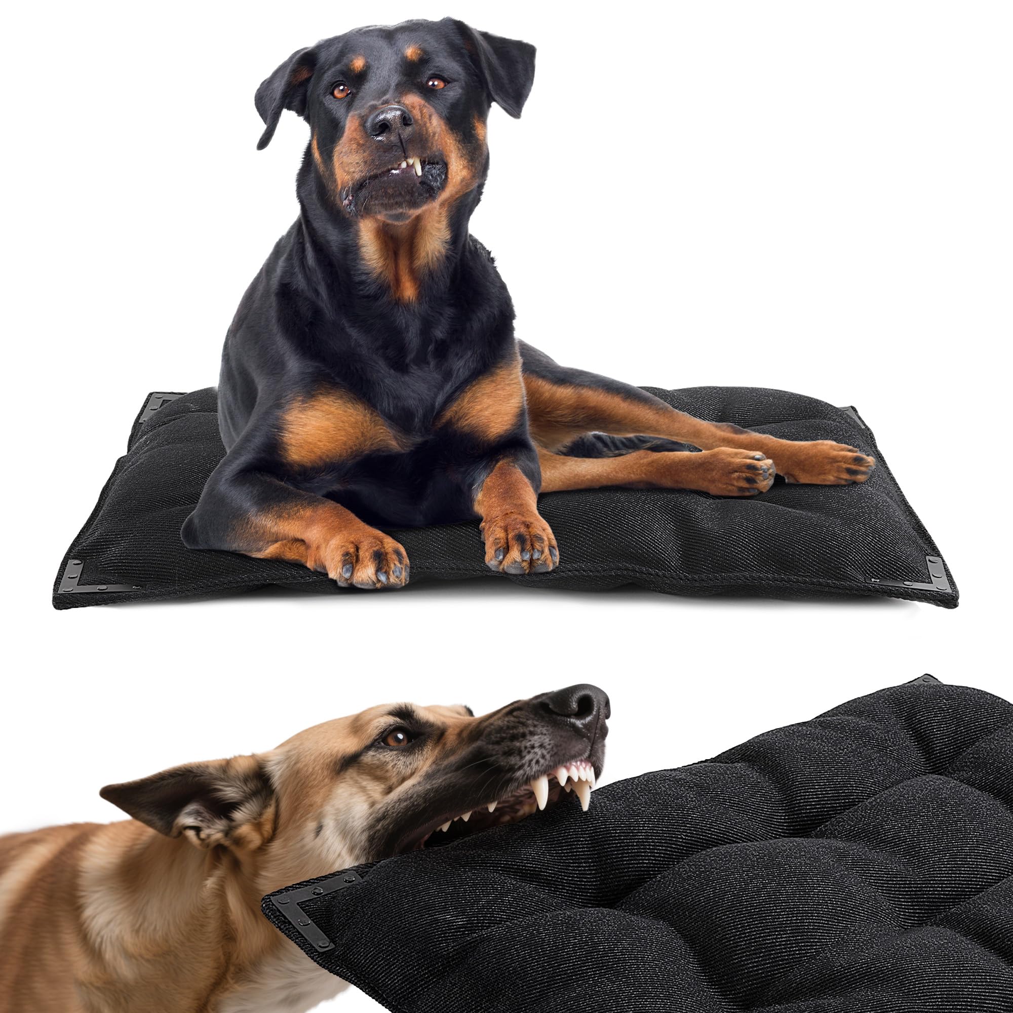BALAPET lit-chien anti-mordilures avec bord métallique, protection robuste contre la mâchoire active.