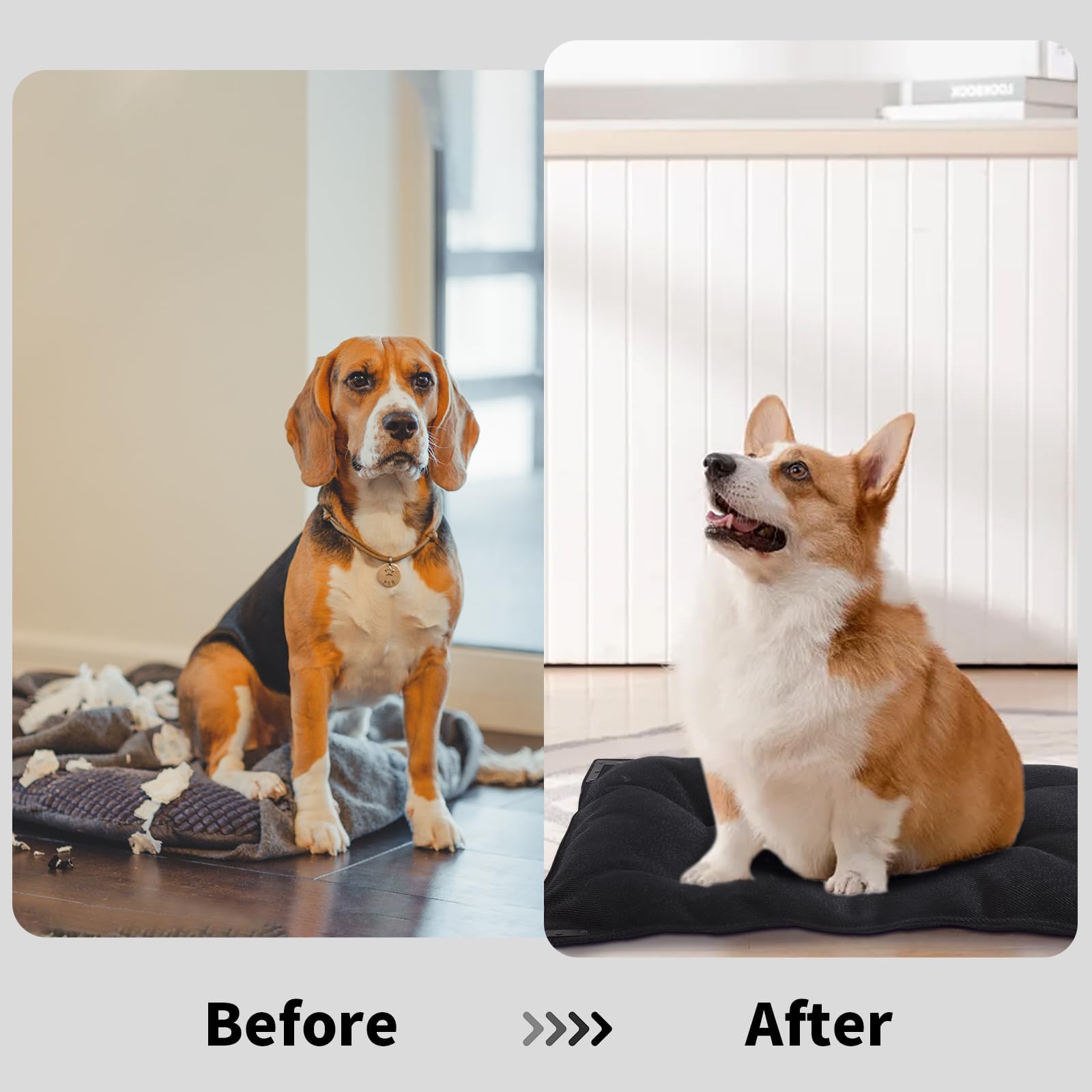 BALAPET matelas-chien durable pour cage, favorise le repos et le calme.