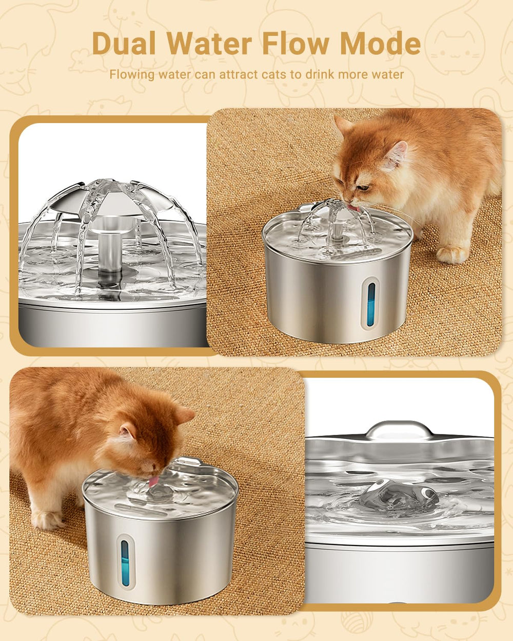 BalimoPet acier inox sans plastique – eau plus sûre pour votre animal.