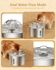BalimoPet acier inox sans plastique – eau plus sûre pour votre animal.