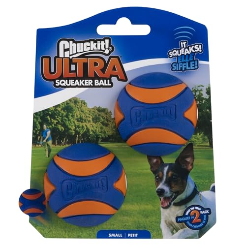 Chuckit! Ultra, balle orange et bleue, facilement repérable pendant les sessions.