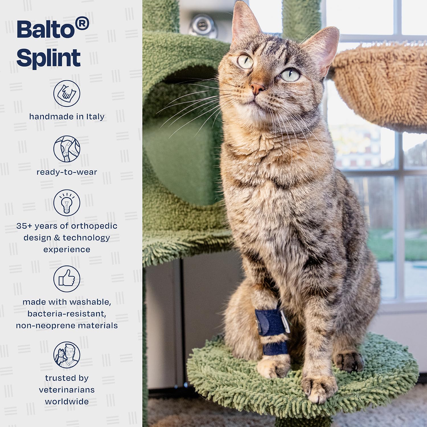 Balto attelle féline, sangles réglables pour une mobilité sécurisée.