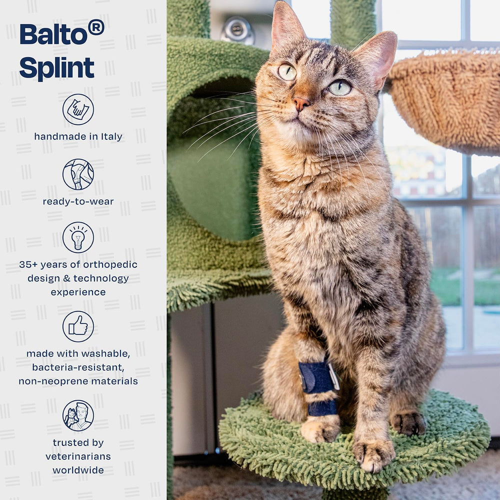 Balto attelle féline, sangles réglables pour une mobilité sécurisée.