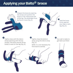 Balto attelle féline avec sangles réglables pour maintien confortable.