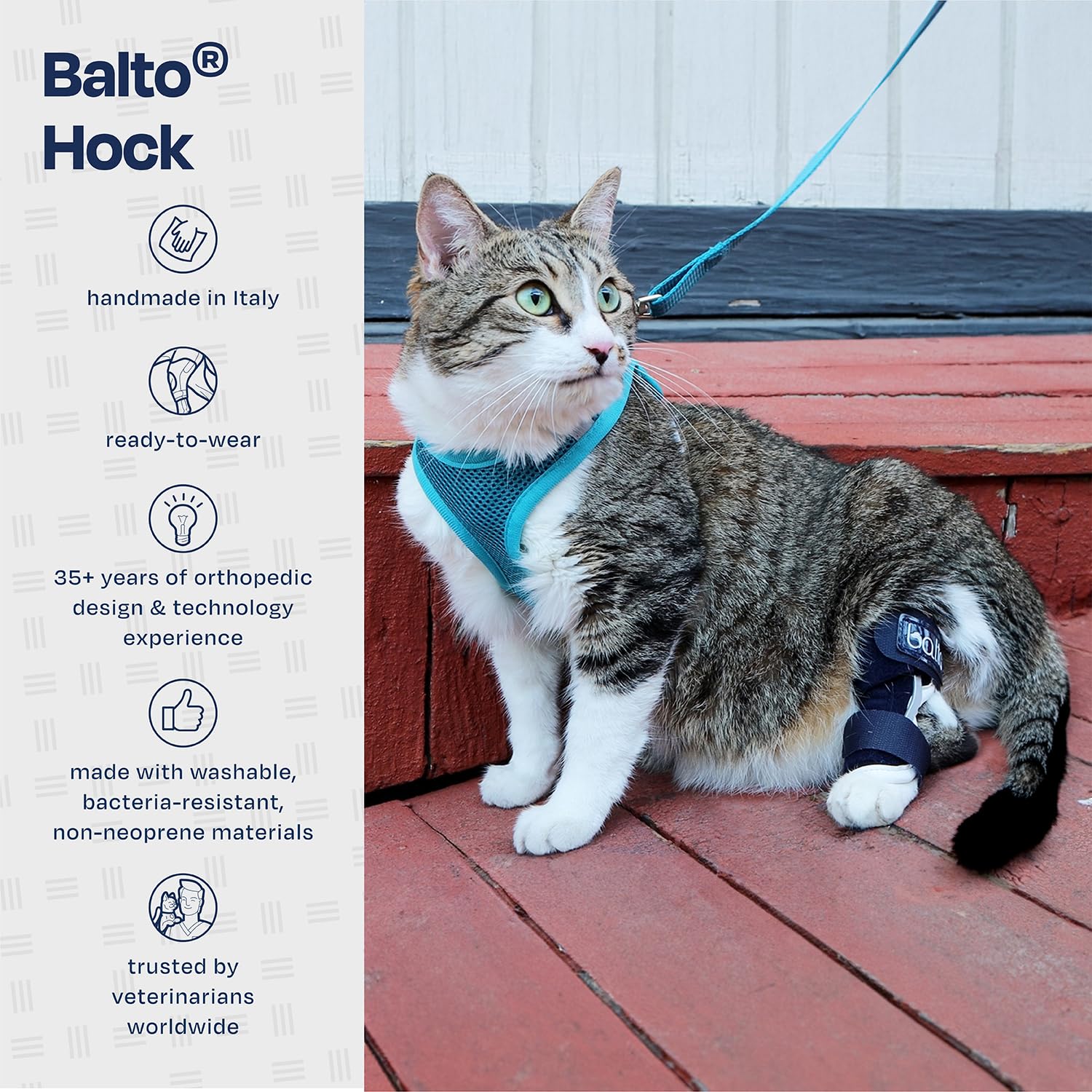 Balto Attelle Jarret Chat Lavable: nettoyage facile et réutilisable