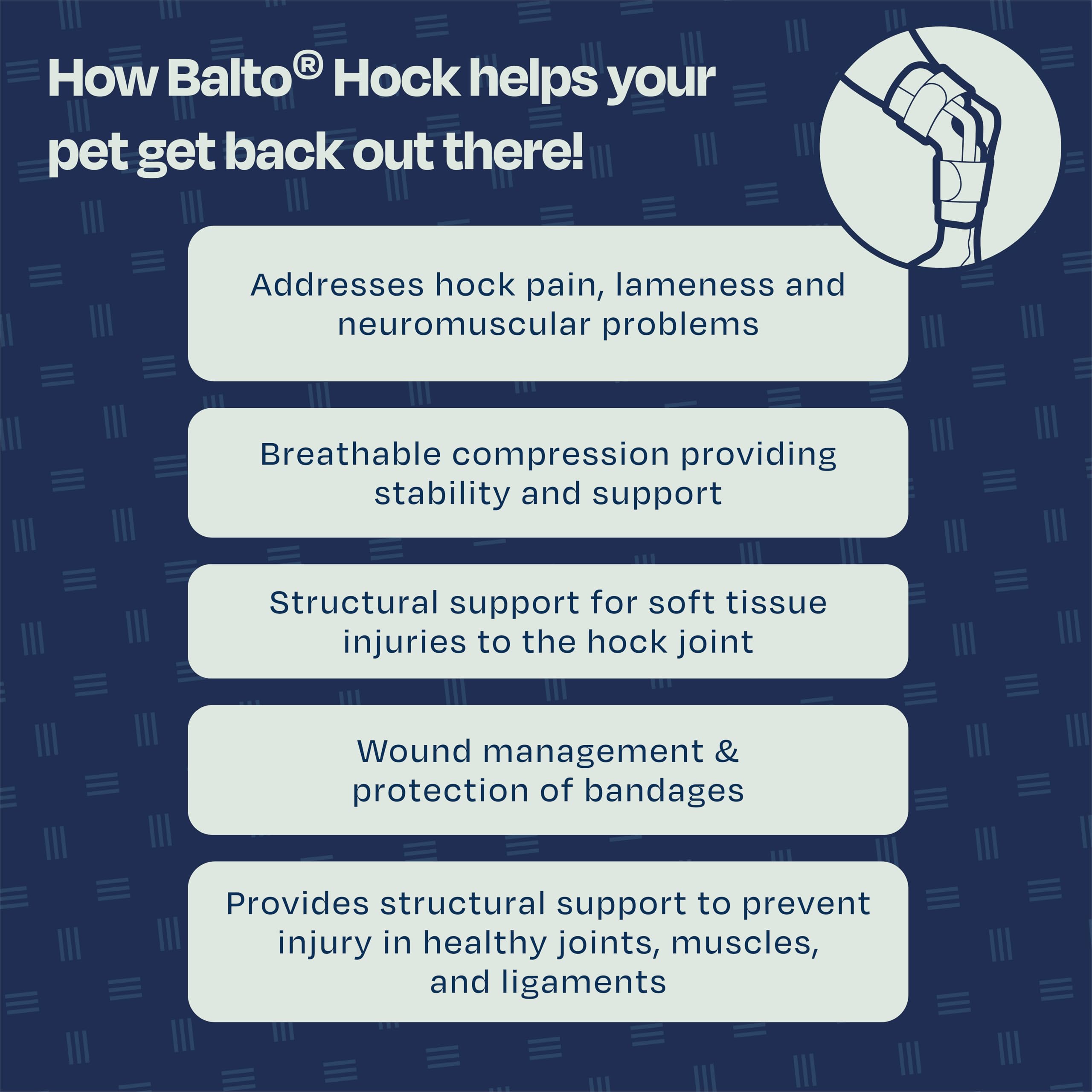 Balto Attelle Jarret Chat Pré/Post Chirurgie: soutien pré et post opératoire