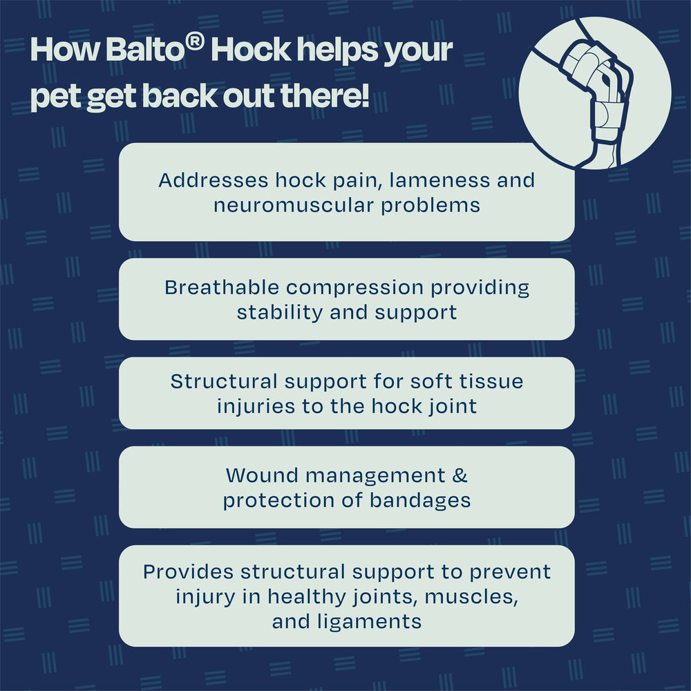 Balto Attelle Jarret Chat Pré/Post Chirurgie: soutien pré et post opératoire