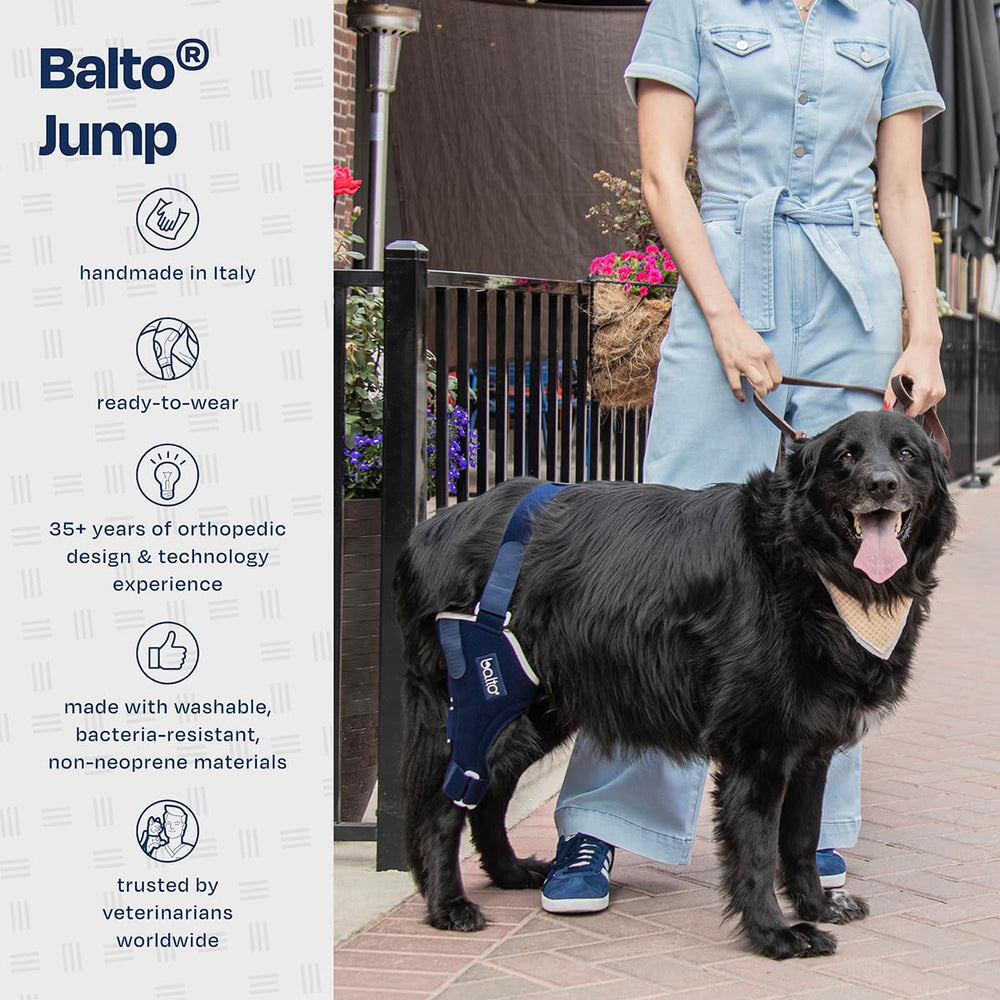 Balto Jump: soutien genou chien pour activités quotidiennes.