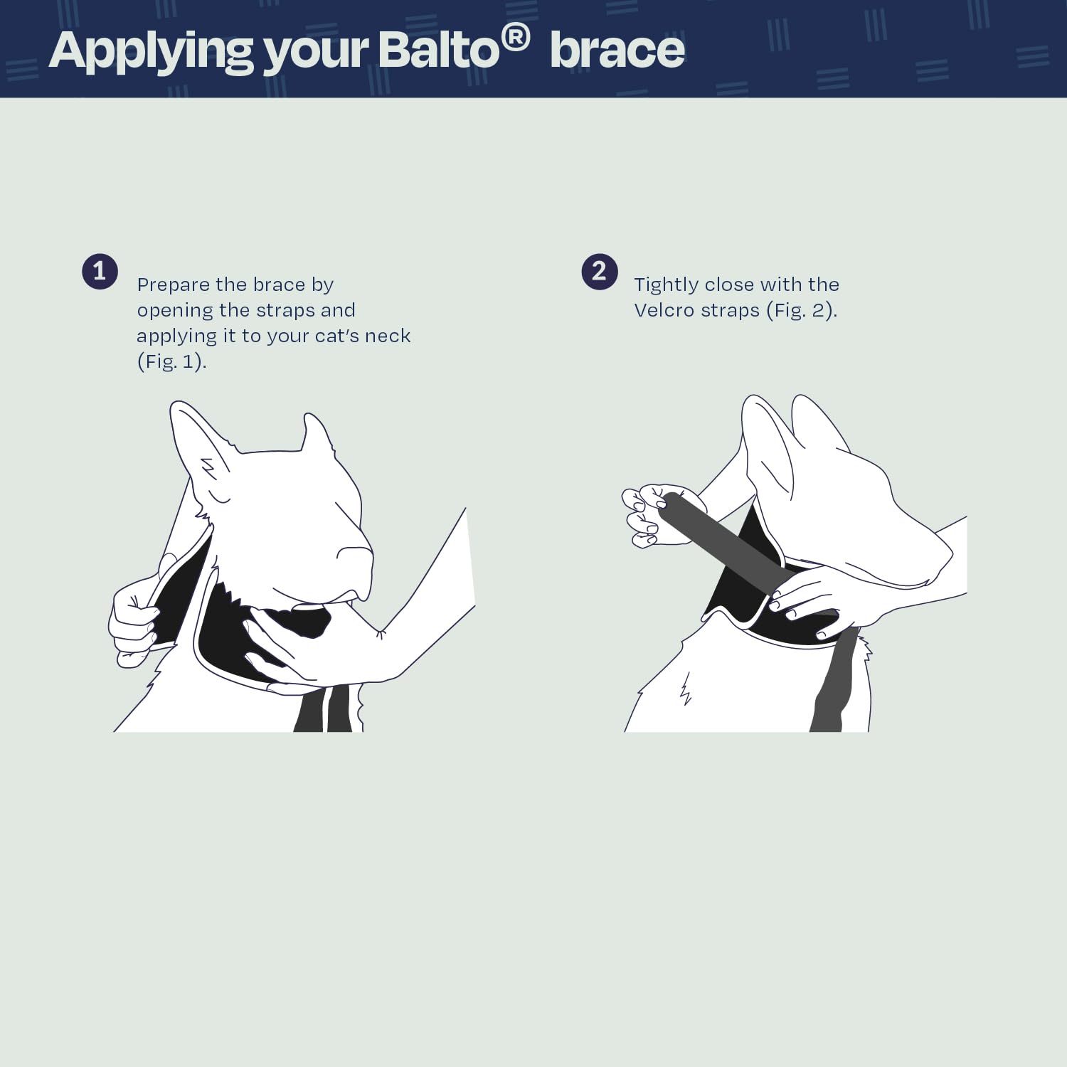 Balto collier eco doux ajustable: s'adapte facilement pour un confort durable.