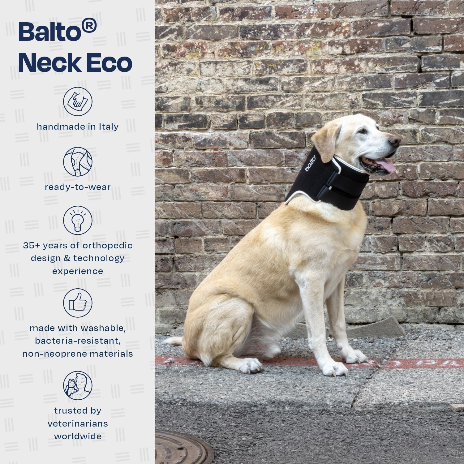 Balto collier eco doux lavage durable: facile à nettoyer et résistant au quotidien.