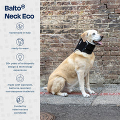 Balto collier eco doux lavage durable: facile à nettoyer et résistant au quotidien.