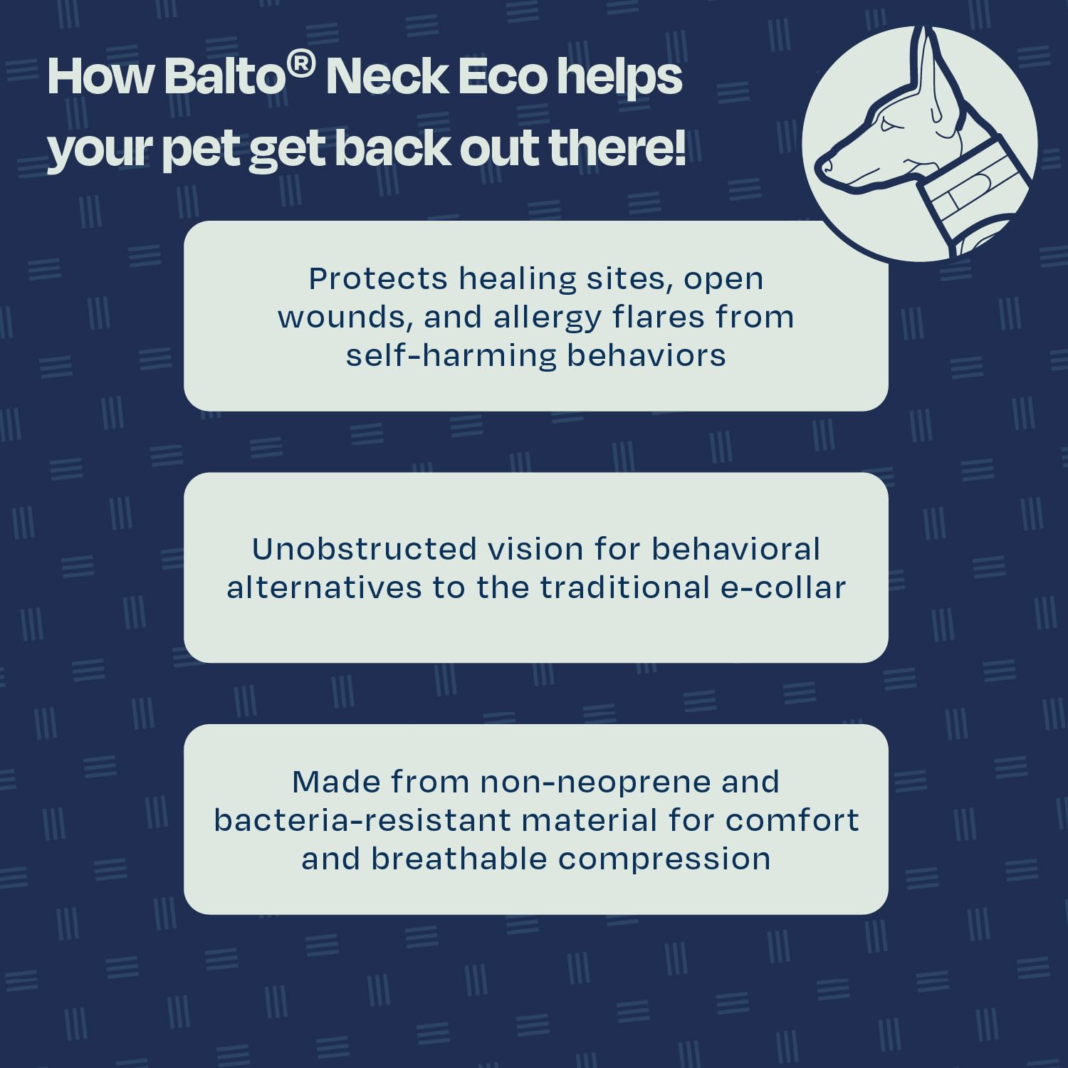 Balto collier eco doux protection blessure: protège les plaies et soutient le rétablissement.