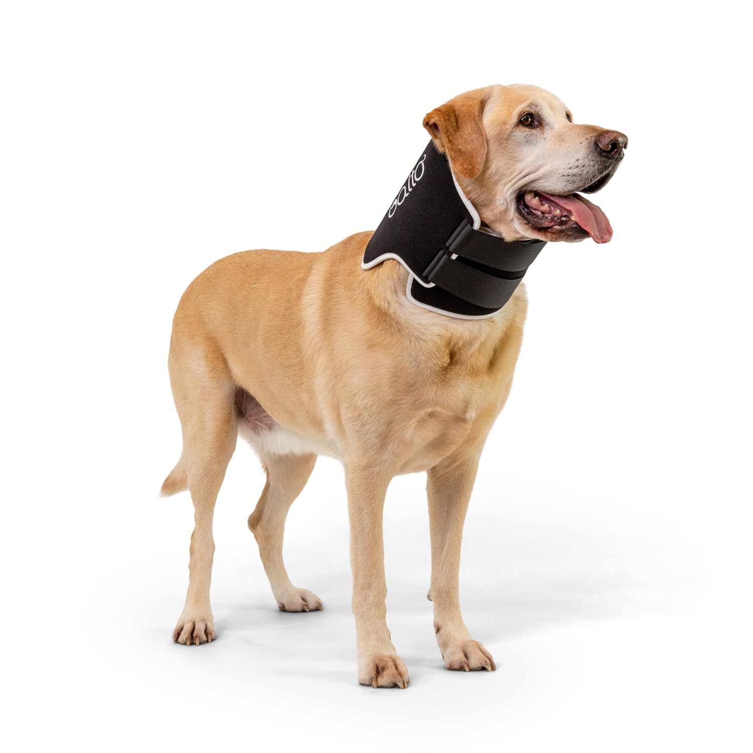 Balto collier eco doux recovery: réduit le léchage des zones sensibles après chirurgie.