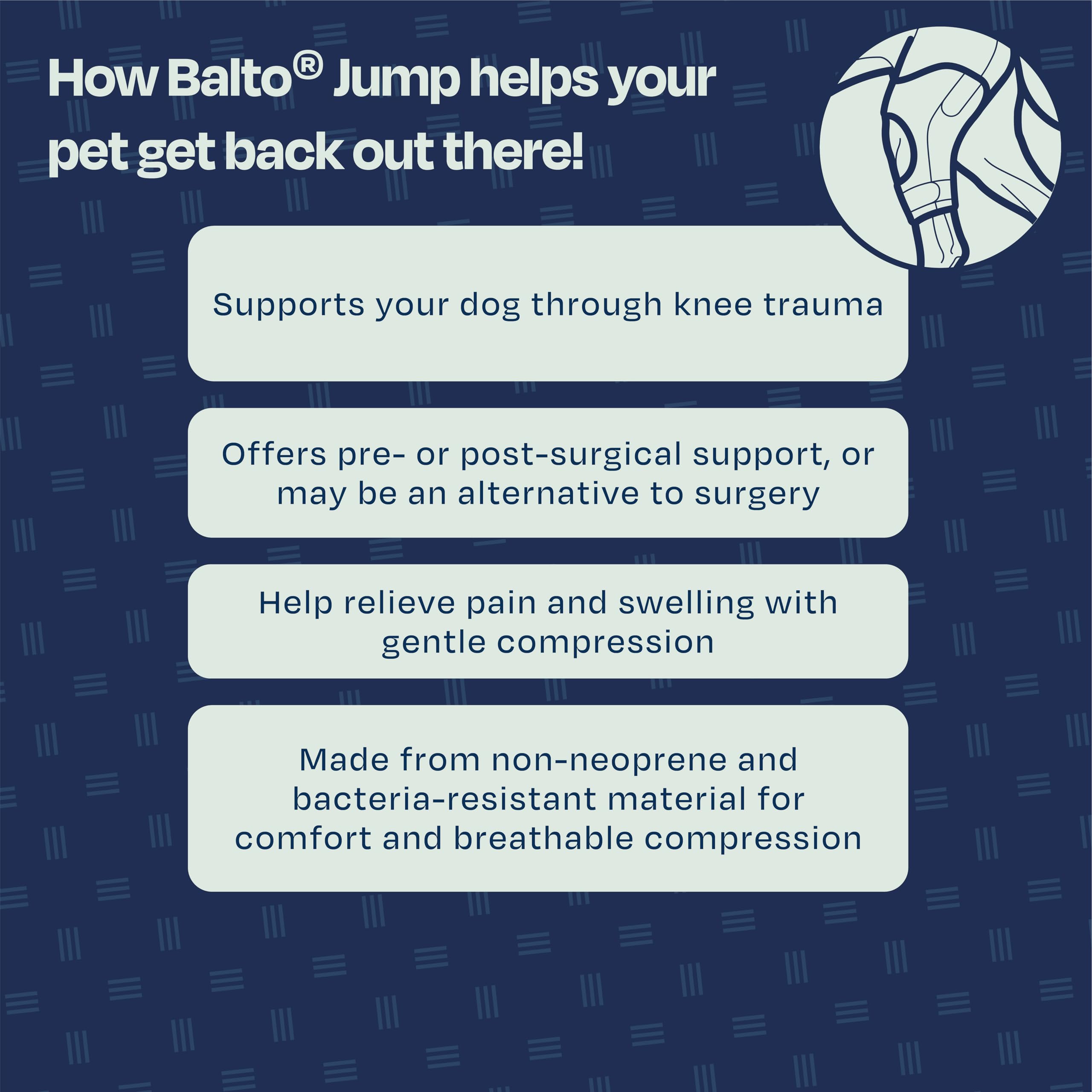 Balto Jump approuvé par vétérinaire et fabriqué en Italie.