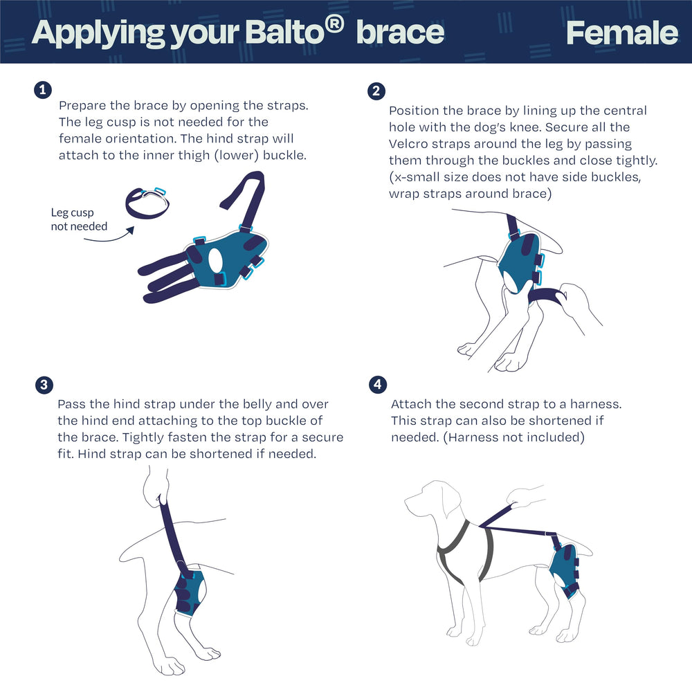 Balto Jump utilisé avant ou après chirurgie pour un soutien progressif.