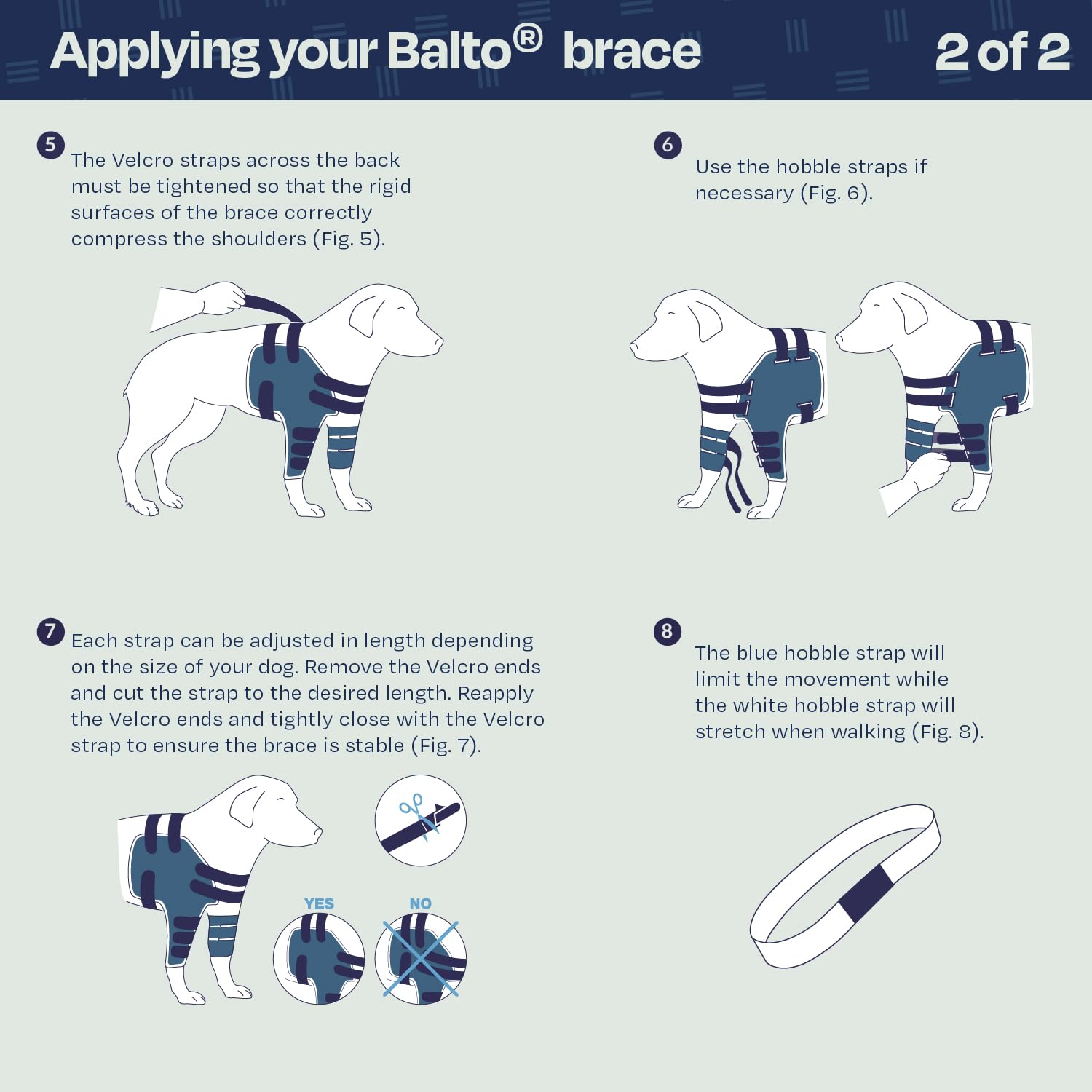 Balto Lux confort adapté aux chiens de petite taille.