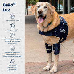 Renforts internes Balto Lux, ajustement personnalisé pour chaque chien.