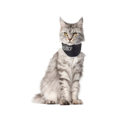 Balto Neck Eco douceur et confort pour le chat pendant la récupération