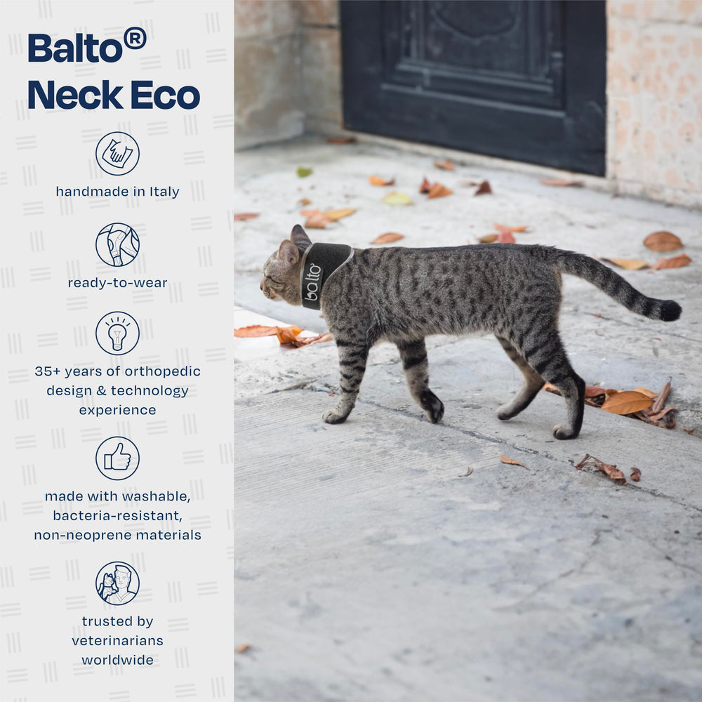 Balto Neck Eco fabrication italienne, qualité et durabilité