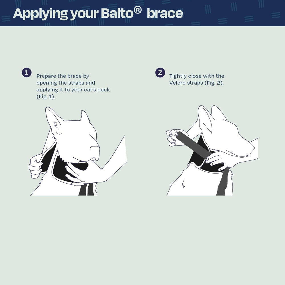 Balto Neck Eco Soft – visibilite ample, chien relaxe pendant la récupération.