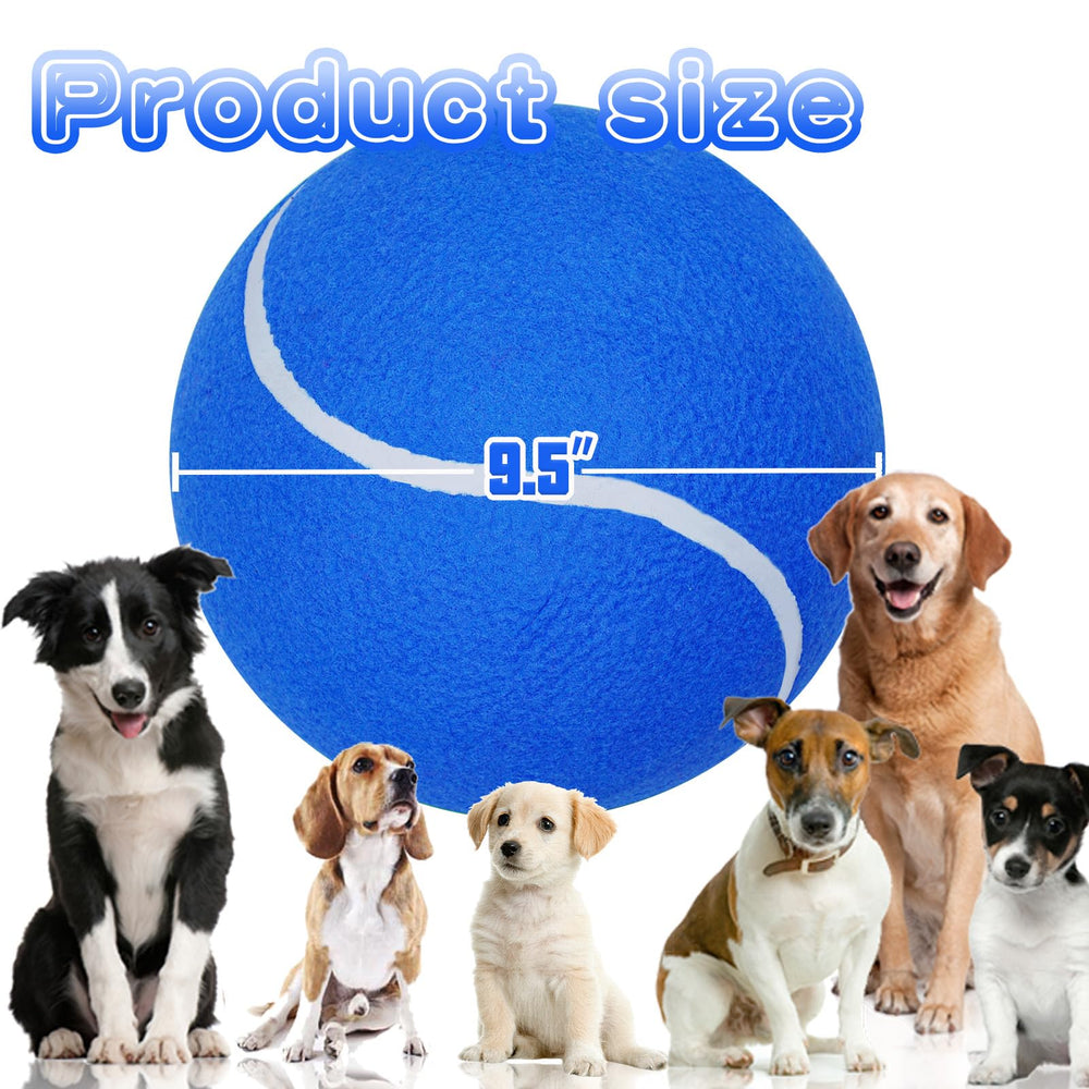 Banfeng balle tennis chien bleue, vue arrière, rebond puissant pour sessions actives.