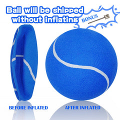 Banfeng balle tennis chien bleue, côté droit, parfaite pour course et jeu.