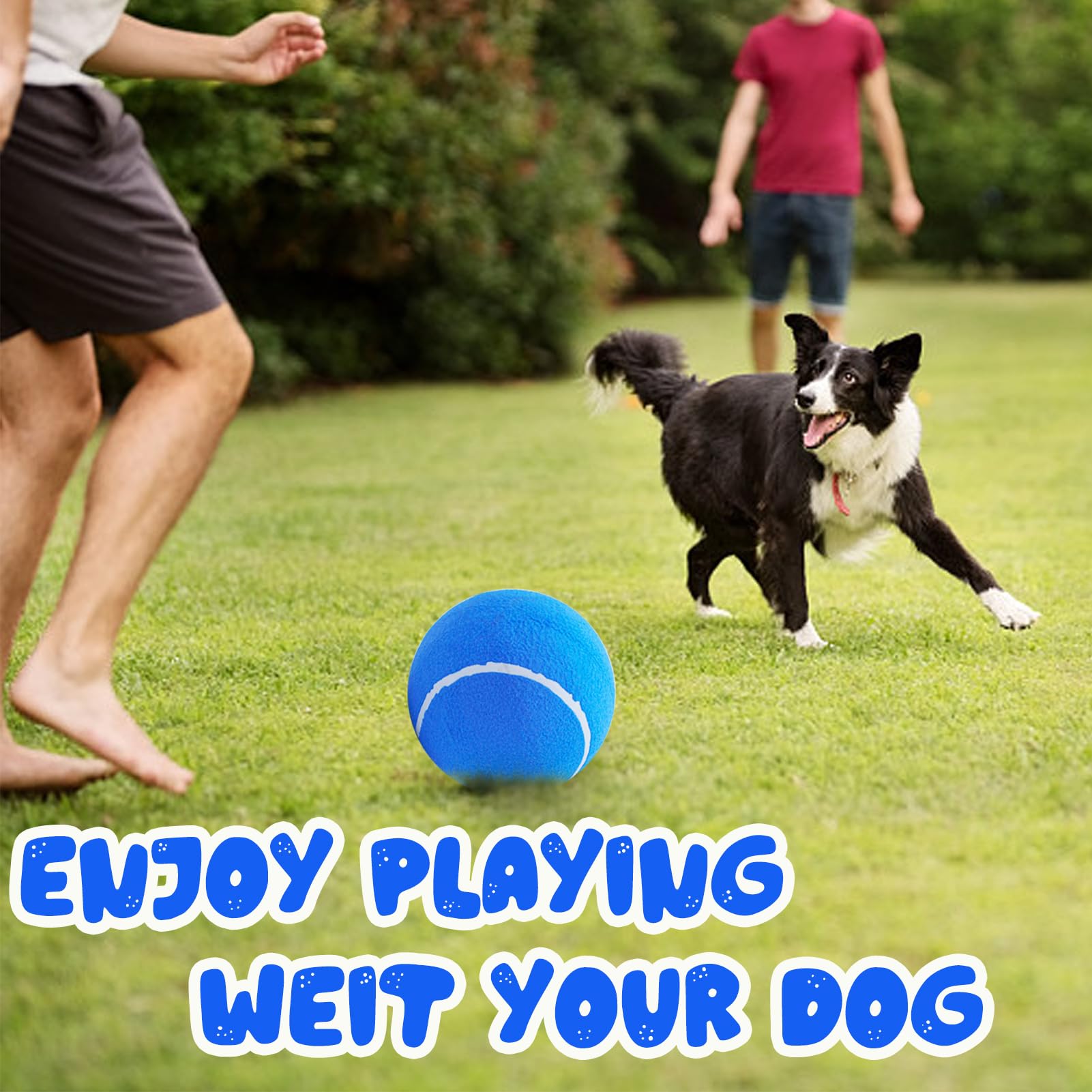 Banfeng balle tennis chien bleue, matériau sûr pour les jeux actifs.