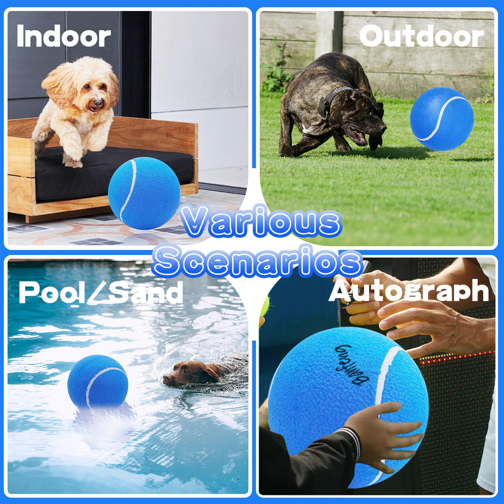 Banfeng balle tennis chien bleue, emballage prêt à offrir.