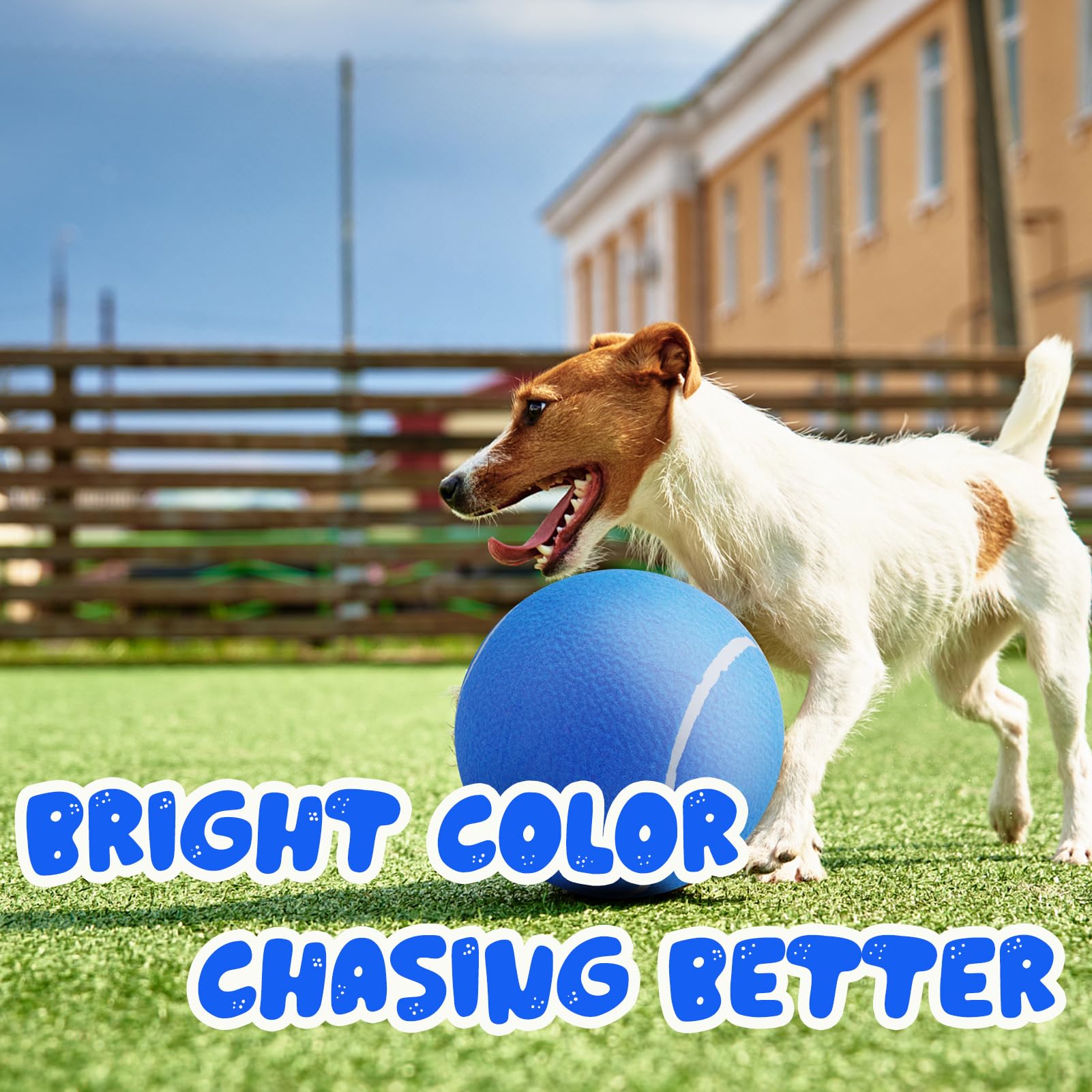 Banfeng balle tennis chien bleue en action, parfaite pour le plein air.
