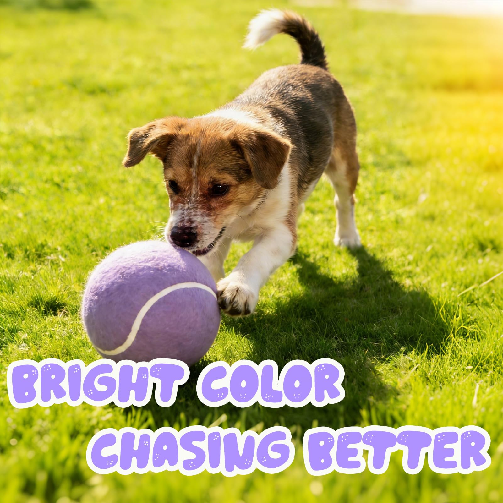 Banfeng Balle Tennis Chien violet clair, cadeau parfait pour chiens actifs en famille.