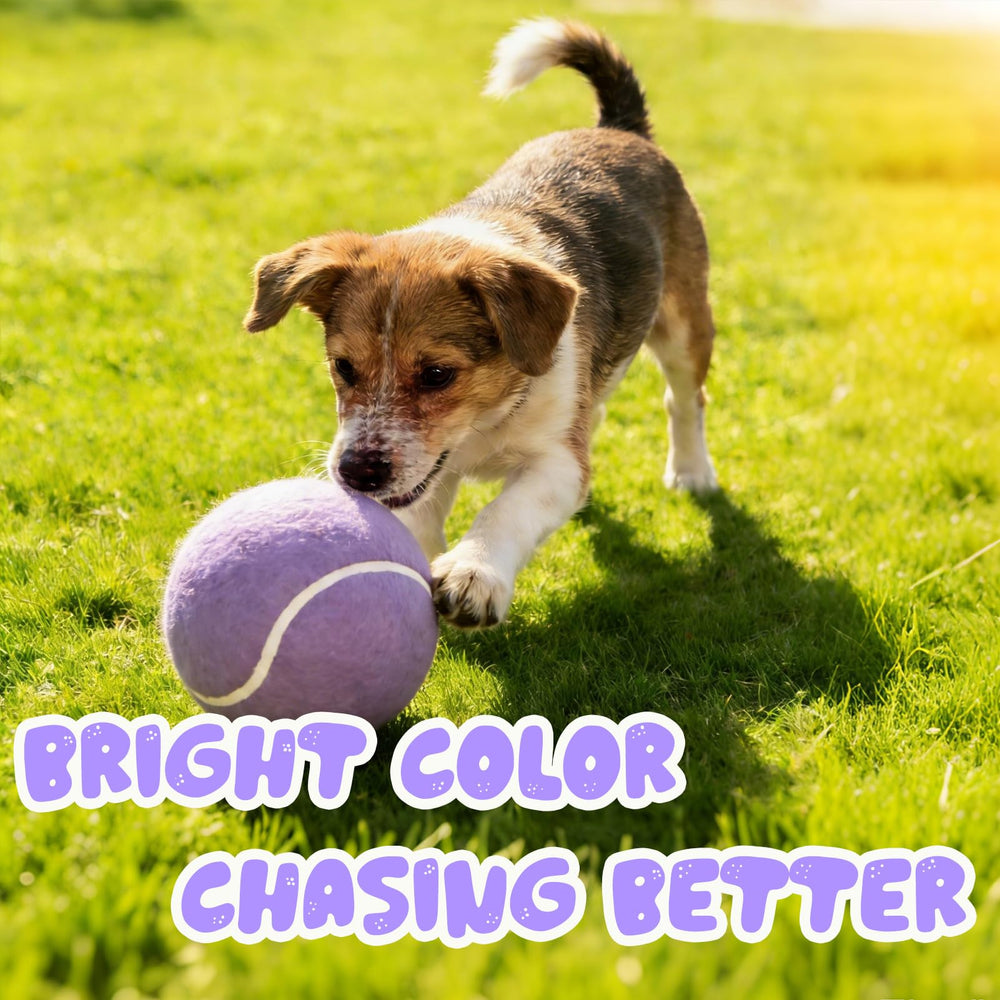 Banfeng Balle Tennis Chien violet clair, cadeau parfait pour chiens actifs en famille.