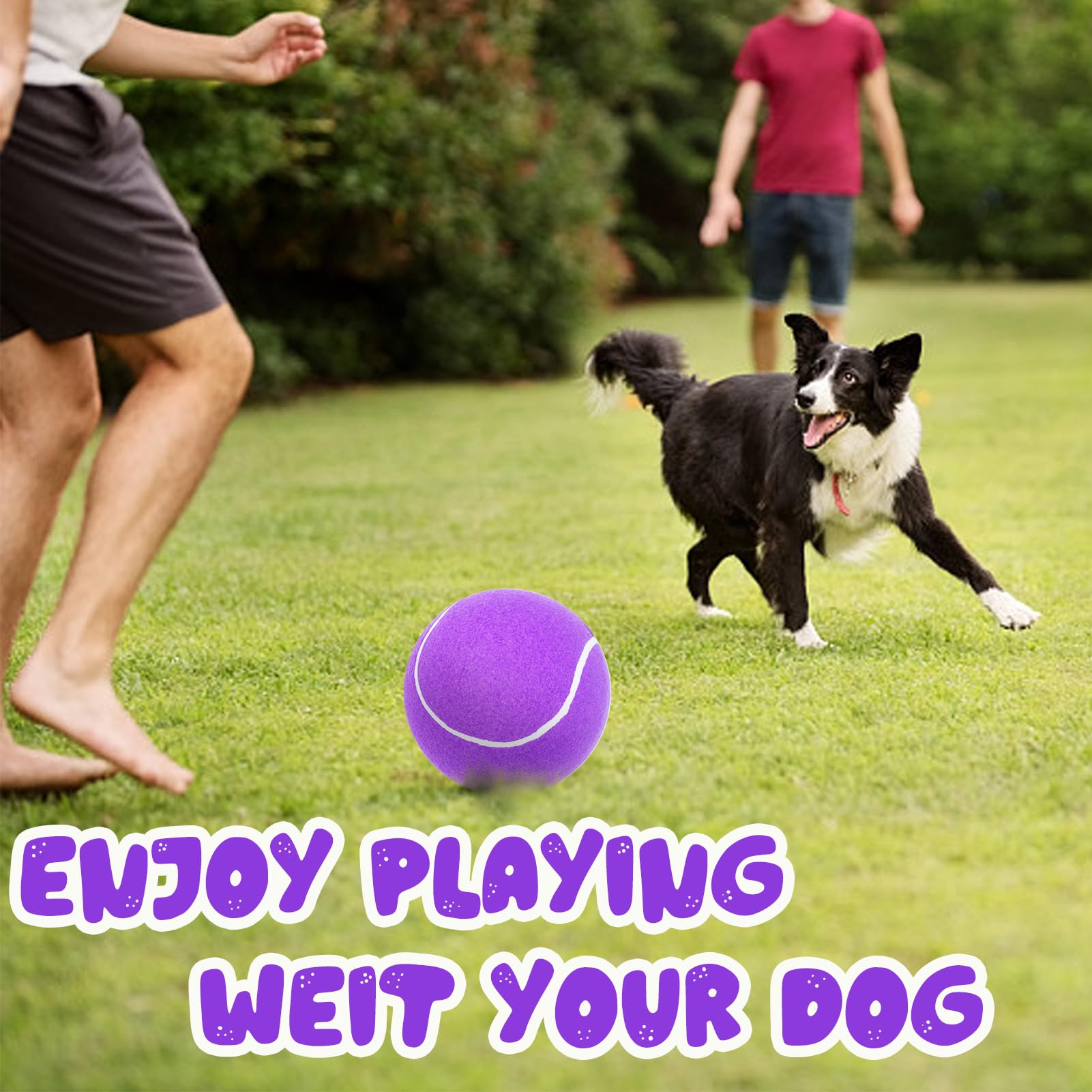 Cadeau Banfeng pour chien: balle tennis violette de grande taille.