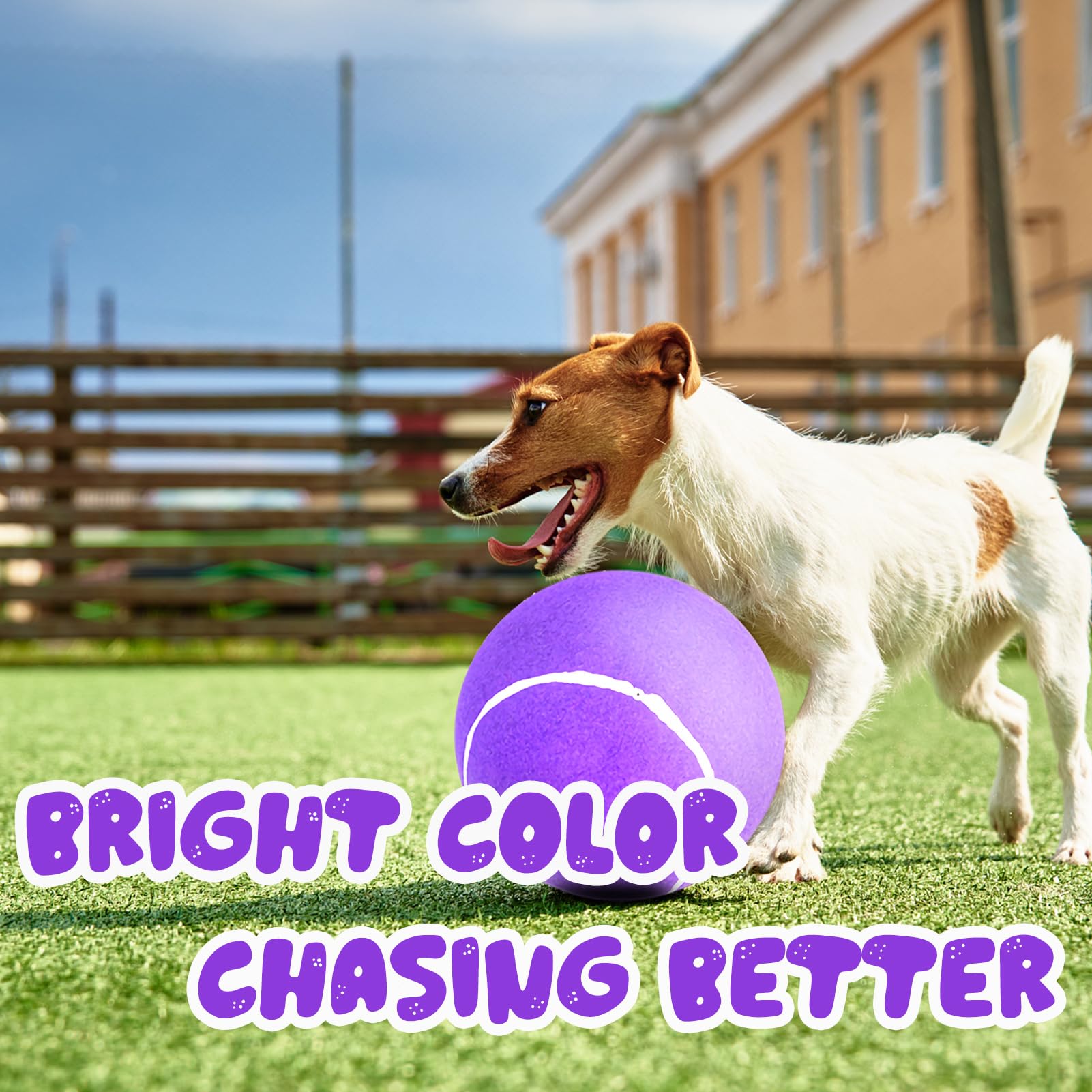 Banfeng balle tennis géante, outil d’éducation et de jeu pour chiens.